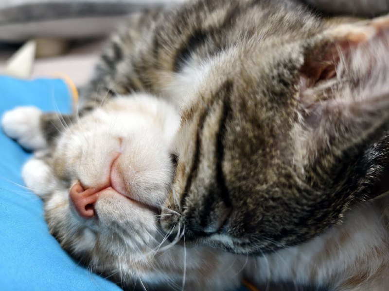 omg 好色情omg 好色情