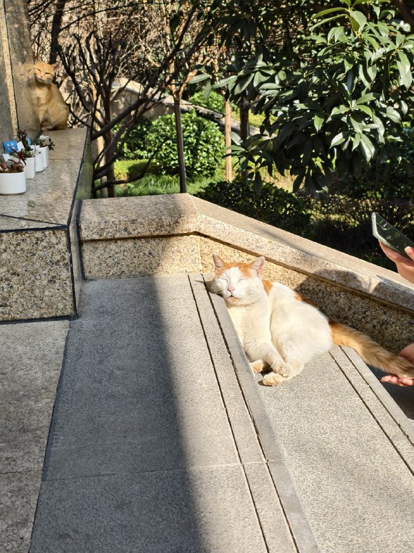 太可爱了🤩🤩🤩太可爱了🤩🤩🤩