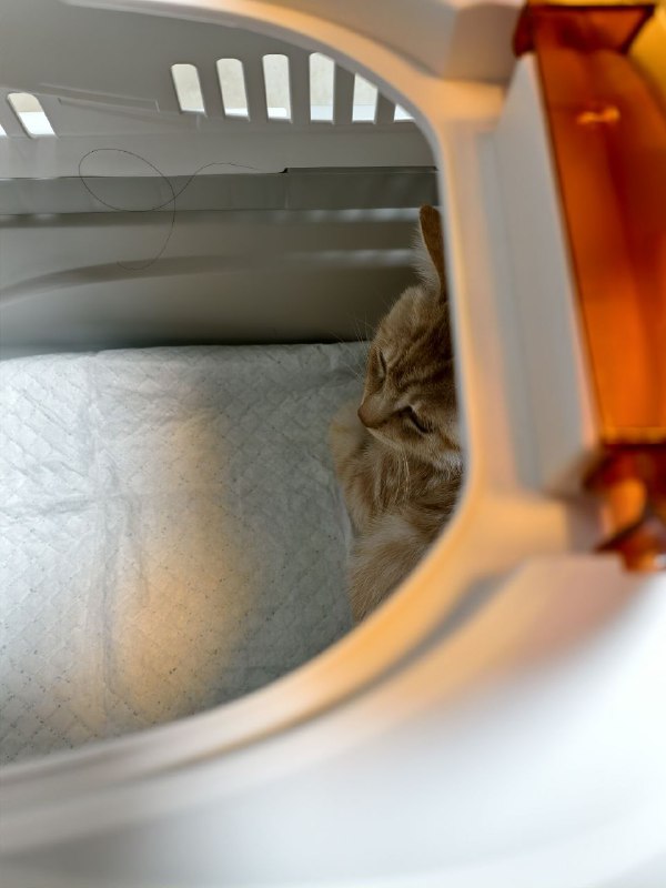 接到孩子了接到孩子了