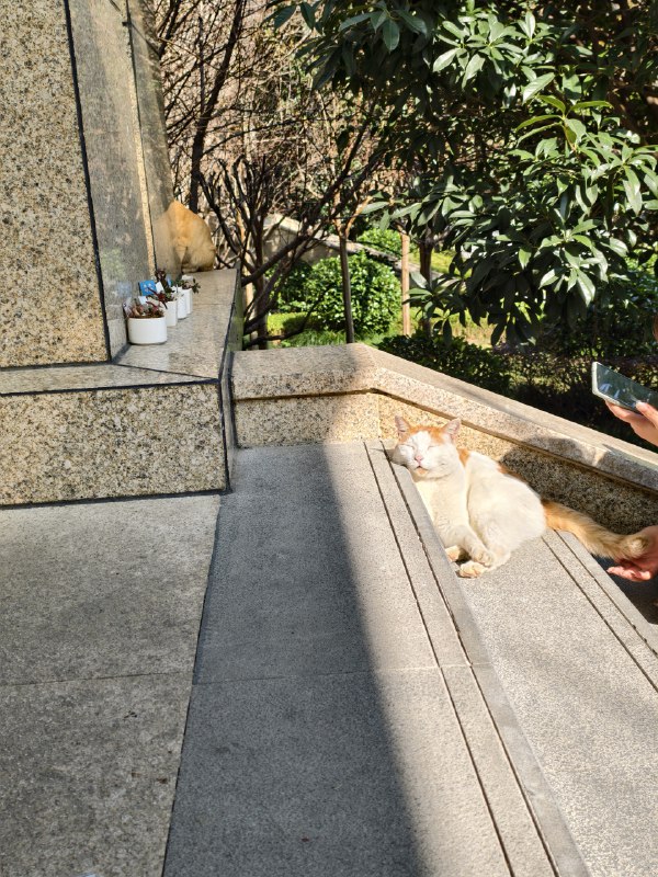 太可爱了🤩🤩🤩太可爱了🤩🤩🤩