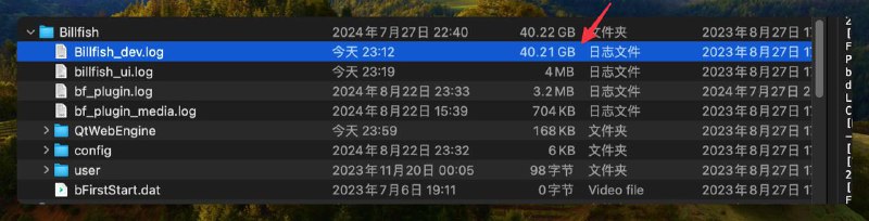 Billfish也是把我整笑了，日志能有40G?