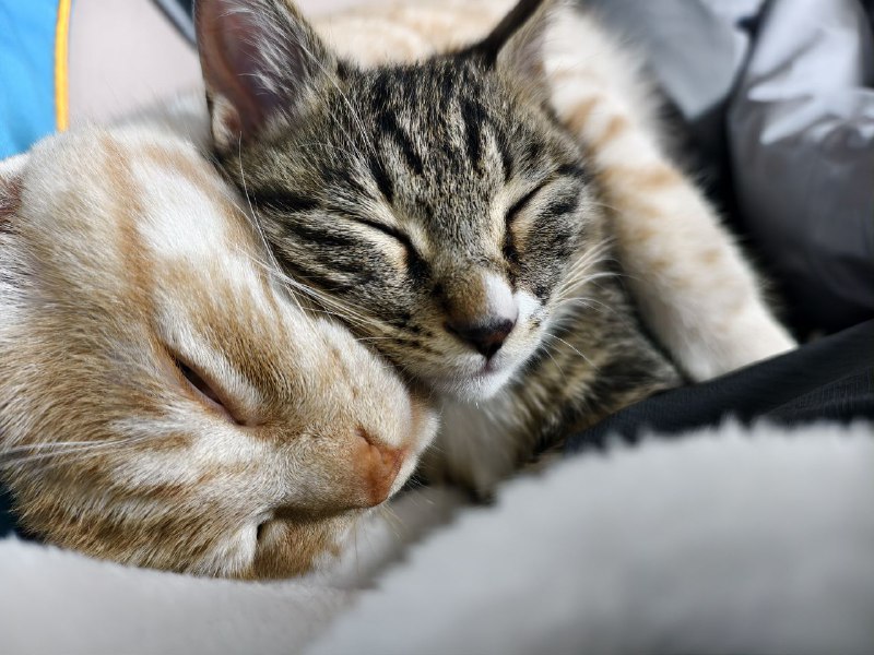 omg 好色情omg 好色情