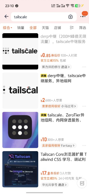 有需求就有市场😄 #tailscale