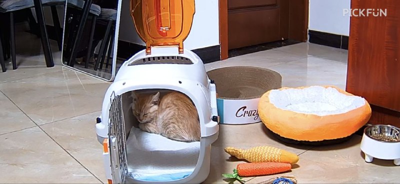 接到孩子了接到孩子了